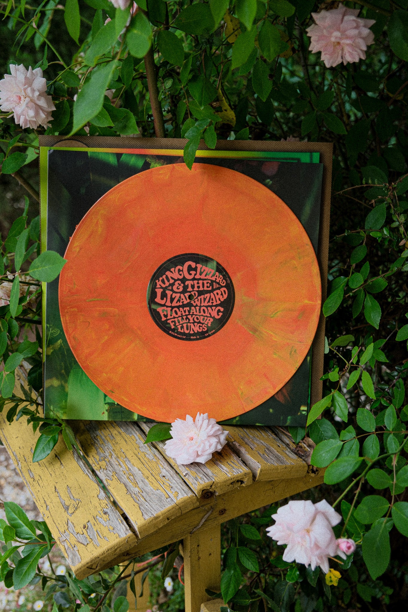 Float Along, Fill Your Lungs