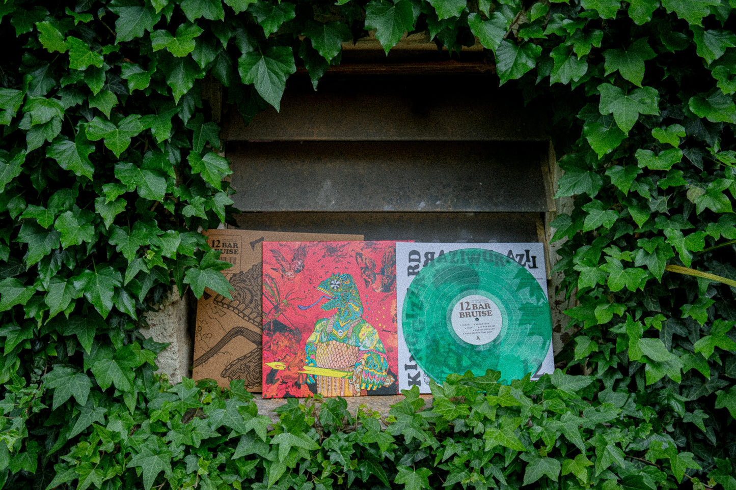 12 Bar Bruise LP