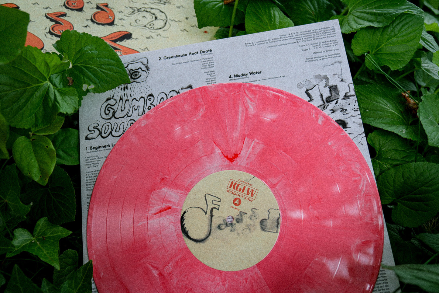 Gumboot Soup LP