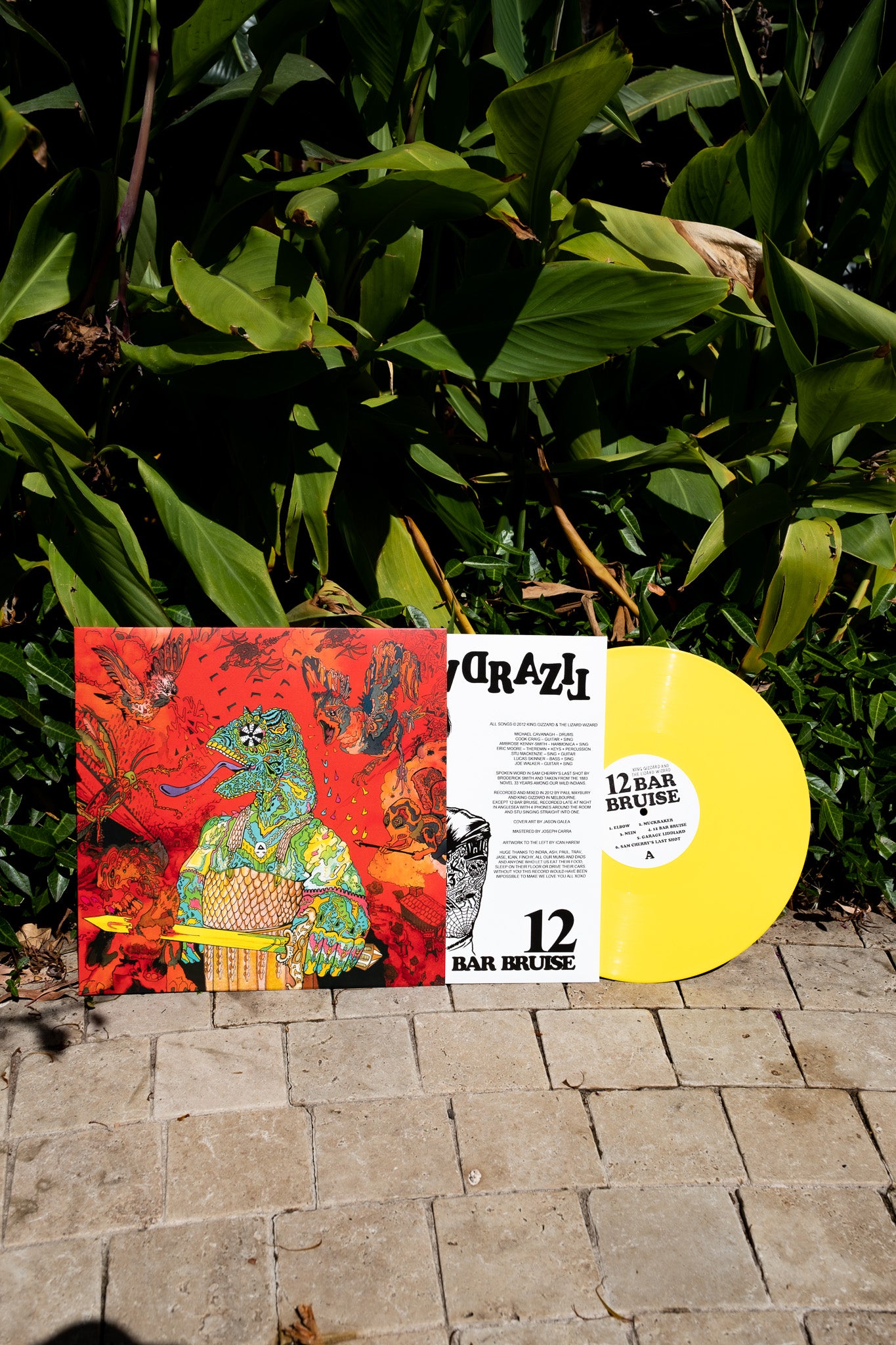 12 Bar Bruise LP