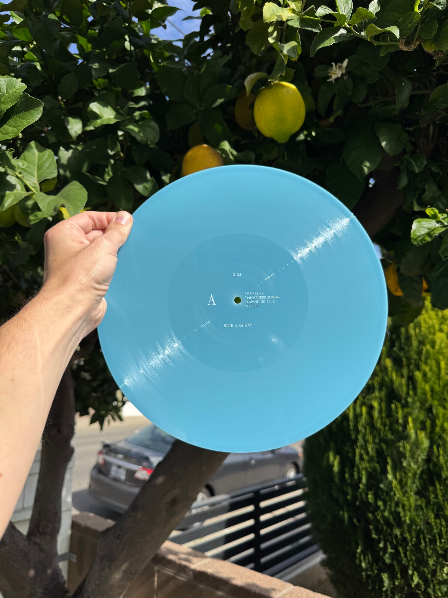 Blue Gum Way